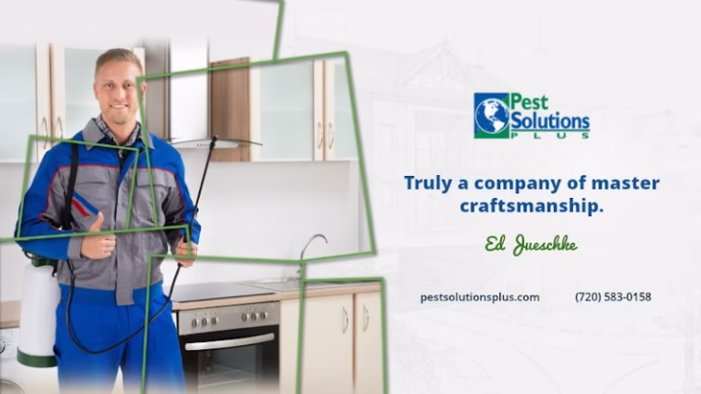 70641 pest solutions plus 1 768x432