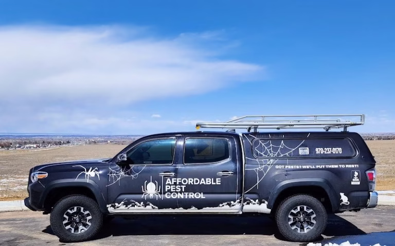 70652 affordable pest control 1 768x480