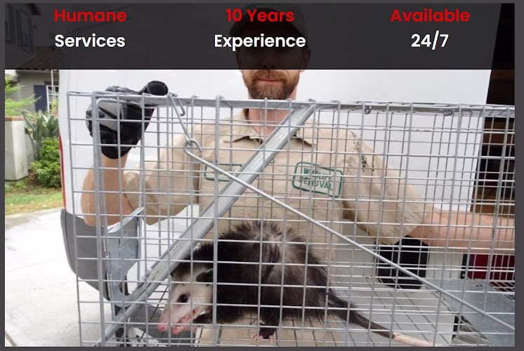 70661 denver animal exterminator 1