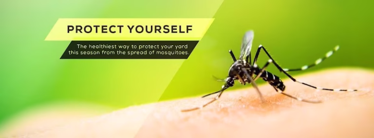 70700 barefoot mosquito and pest control 8211 oklahoma city oklahoma 768x284