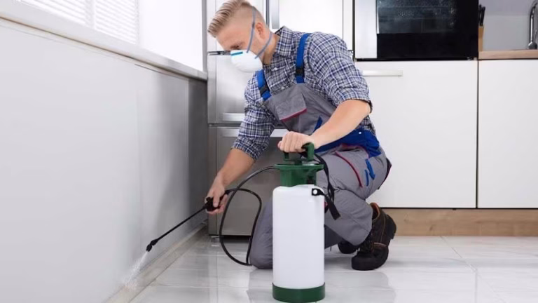 70786 express pest services 768x432