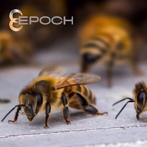 70797 epoch pest solutions llc 1