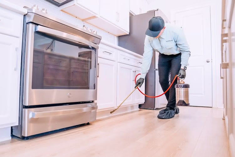 70948 specter pest control 1
