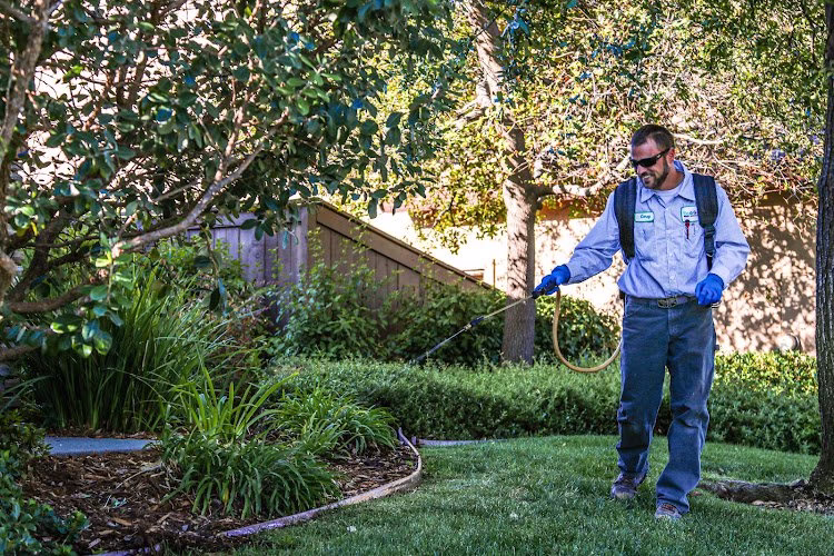 71002 ecoguard pest management 5