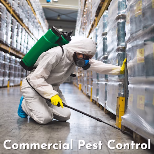 71049 lookout pest control 4