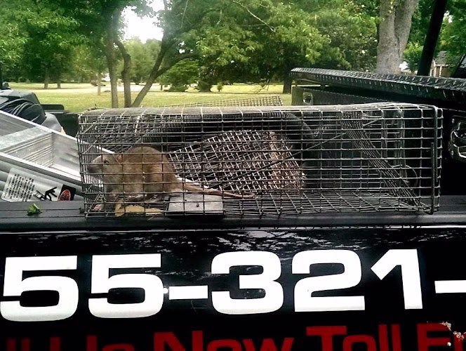 71078 trapper jack wildlife specialist llc 1