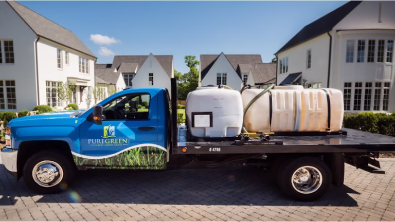 71081 pure green 768x432