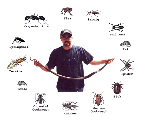 71156 ejs pest control