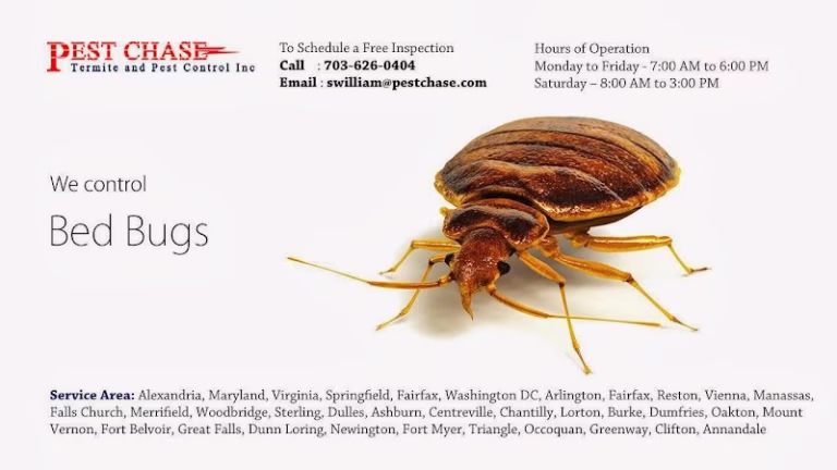 71165 pest chase termite and pest control inc 1 768x432