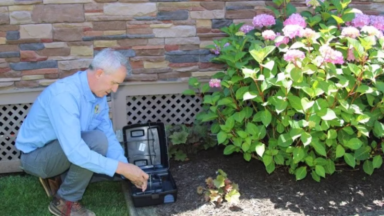 71182 better termite pest control 1 768x432