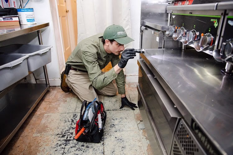 71191 highland eco pest control 1