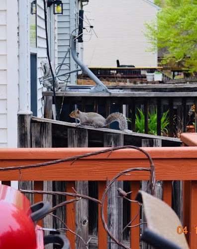 71194 district wildlife solutions llc