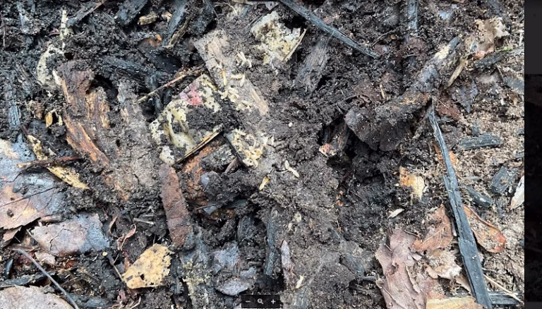 71207 connors pest pros 1 768x438