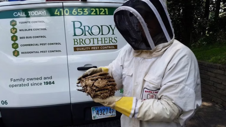71221 brody brothers pest control in rockville 1 768x432