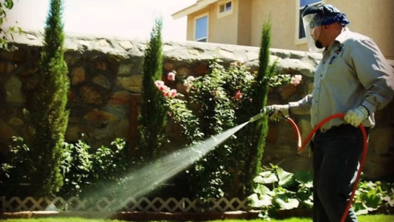 71292 villalobos pest control 1 768x434