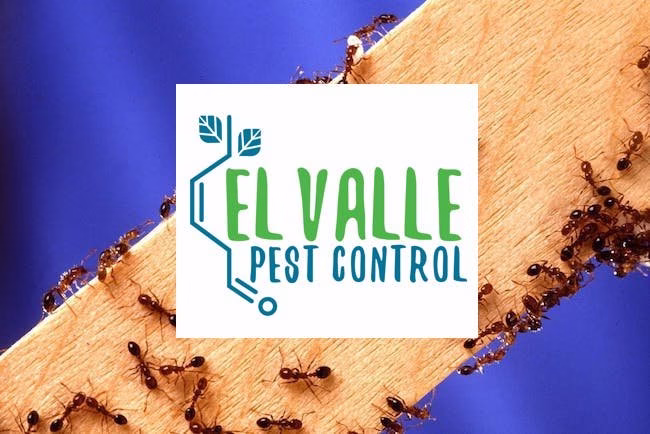 71295 el valle pest control 1