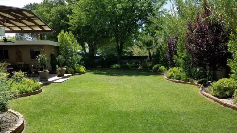 71321 pro tech pest and lawn management 1 768x432