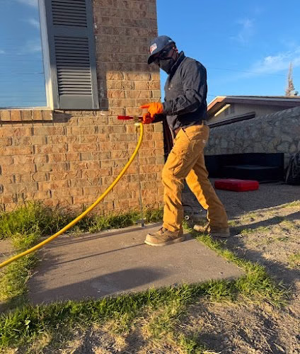 71380 300 exterminator termite and pest control llc 1