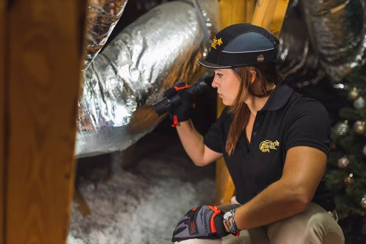 71450 critter control of greater boston 1