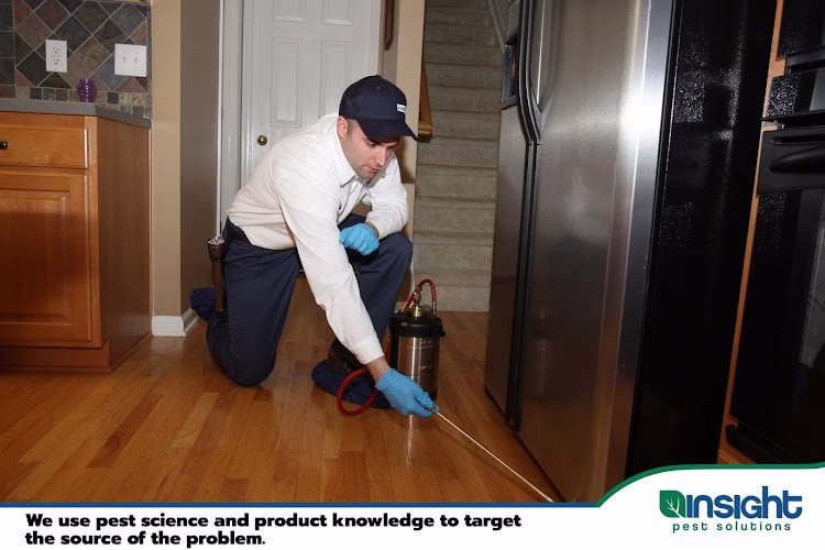 71476 insight pest solutions 8211 boston ma 1