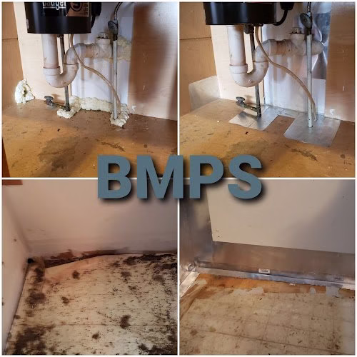 71498 best mice proofing solutions 1