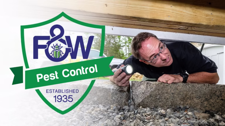 71505 fw pest control 3 768x432