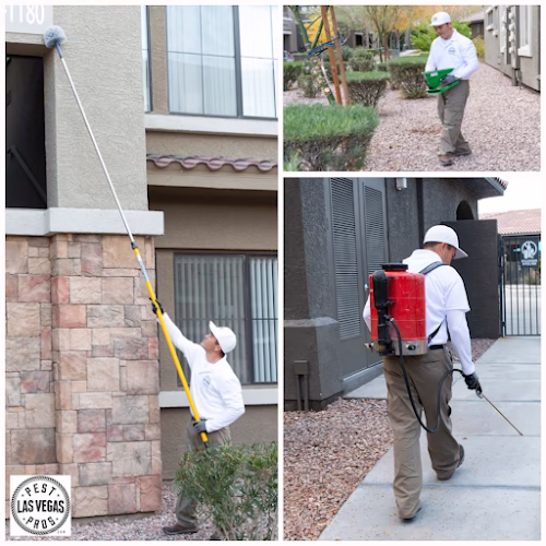 71601 pest pros las vegas 1