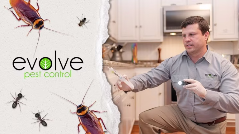 71647 evolve pest control 1 768x432