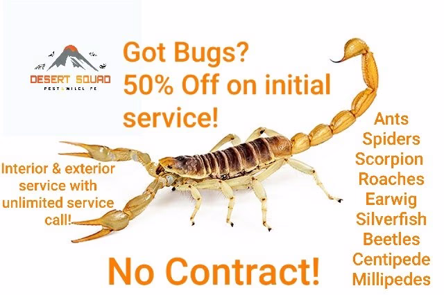 71684 desert squad pest wildlife pest control and wildlife removal 1