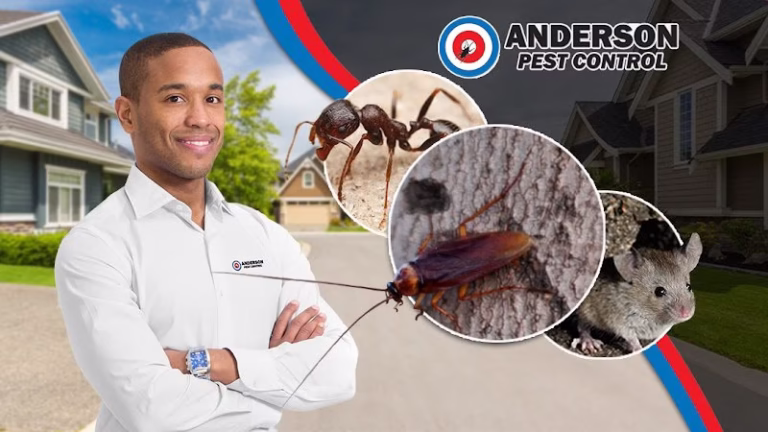 71717 anderson pest control llc 1 768x432
