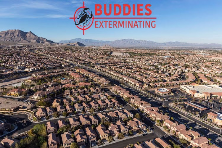 71741 buddies exterminating llc 1