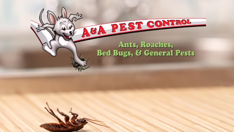 71763 aa pest control 1 768x432