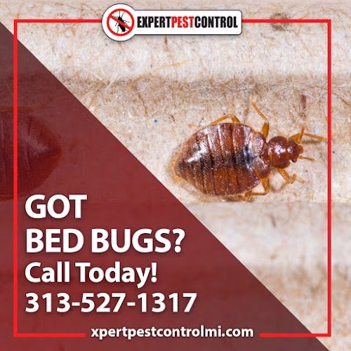 71891 expert pest control 1