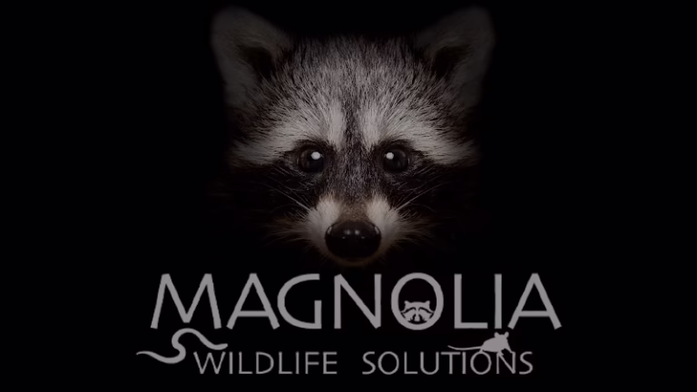 72173 magnolia wildlife solutions 768x432