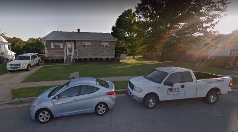 72427 allpest termite pest control 1 768x428