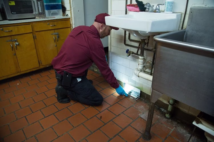 72443 jankowski pest control llc 1