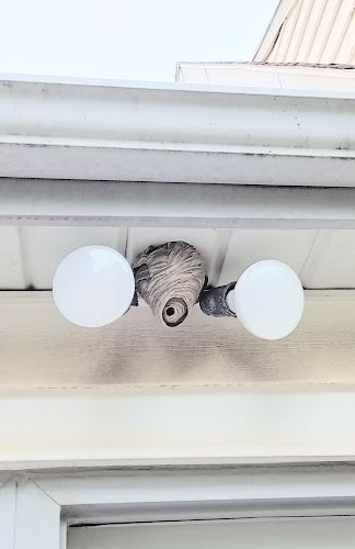 72535 jerrys pest control service