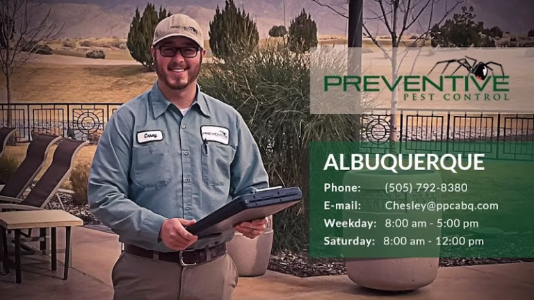 72691 preventive pest control 8211 albuquerque 768x432