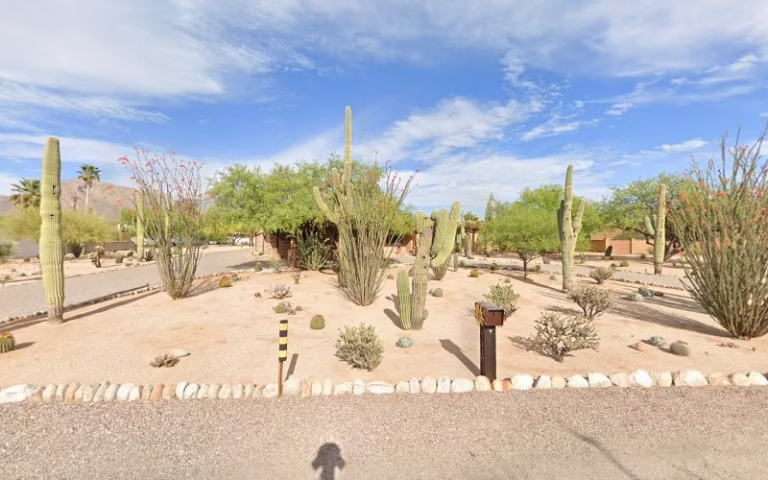 72907 rogers pest control service 768x480