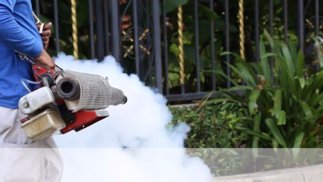 72986 ecodefense pest control 1