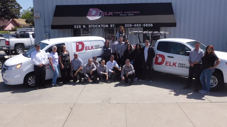 73040 delk pest control 1 768x432