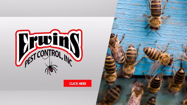 73057 erwins pest control inc 768x432