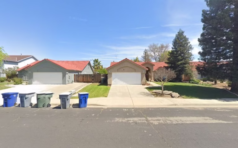 73148 palmer pest control service 1 768x480