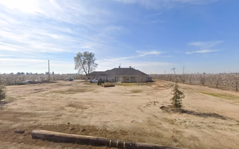 73157 a a bee removal 768x480