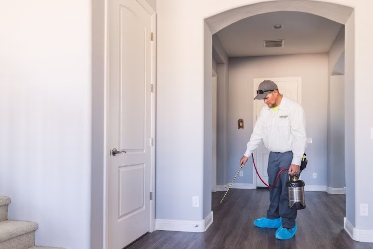 73173 iron mantis pest control 1