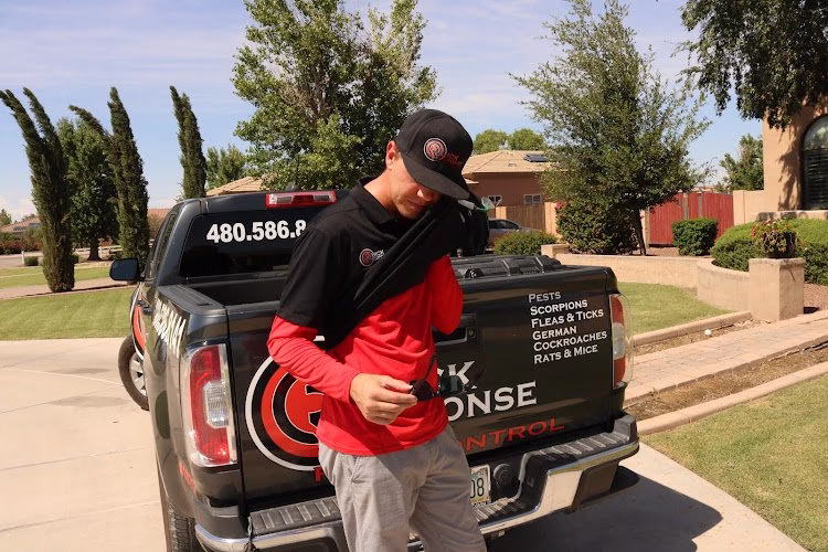 73230 quick response pest control 1