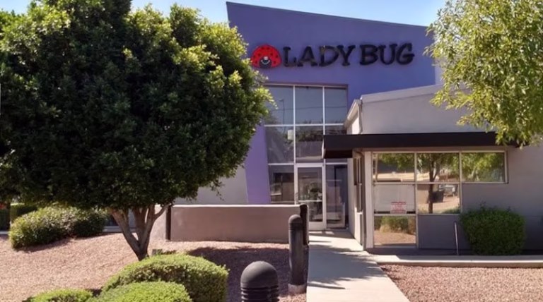 73235 lady bug eco friendly pest control 768x428