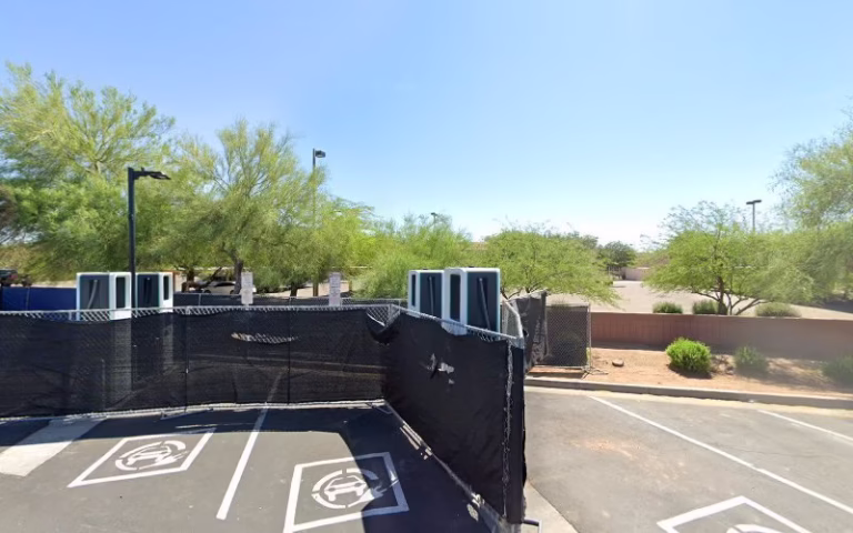 73295 the bees knees pest control 1 768x480