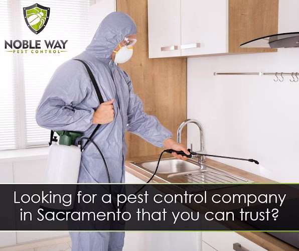 73316 noble way pest control 1