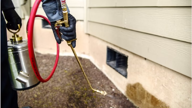 73327 ecotech pest management inc 1 768x432